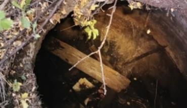 В Бресте спасатели помогли провалившемуся в коллектор маленькому котенку